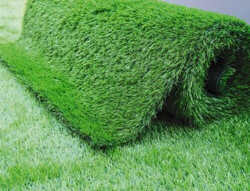 Tipos de césped: Guía para elegir el mejor para tu jardín